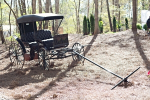 Backyard Wedding Winston Salem NC antique carriage