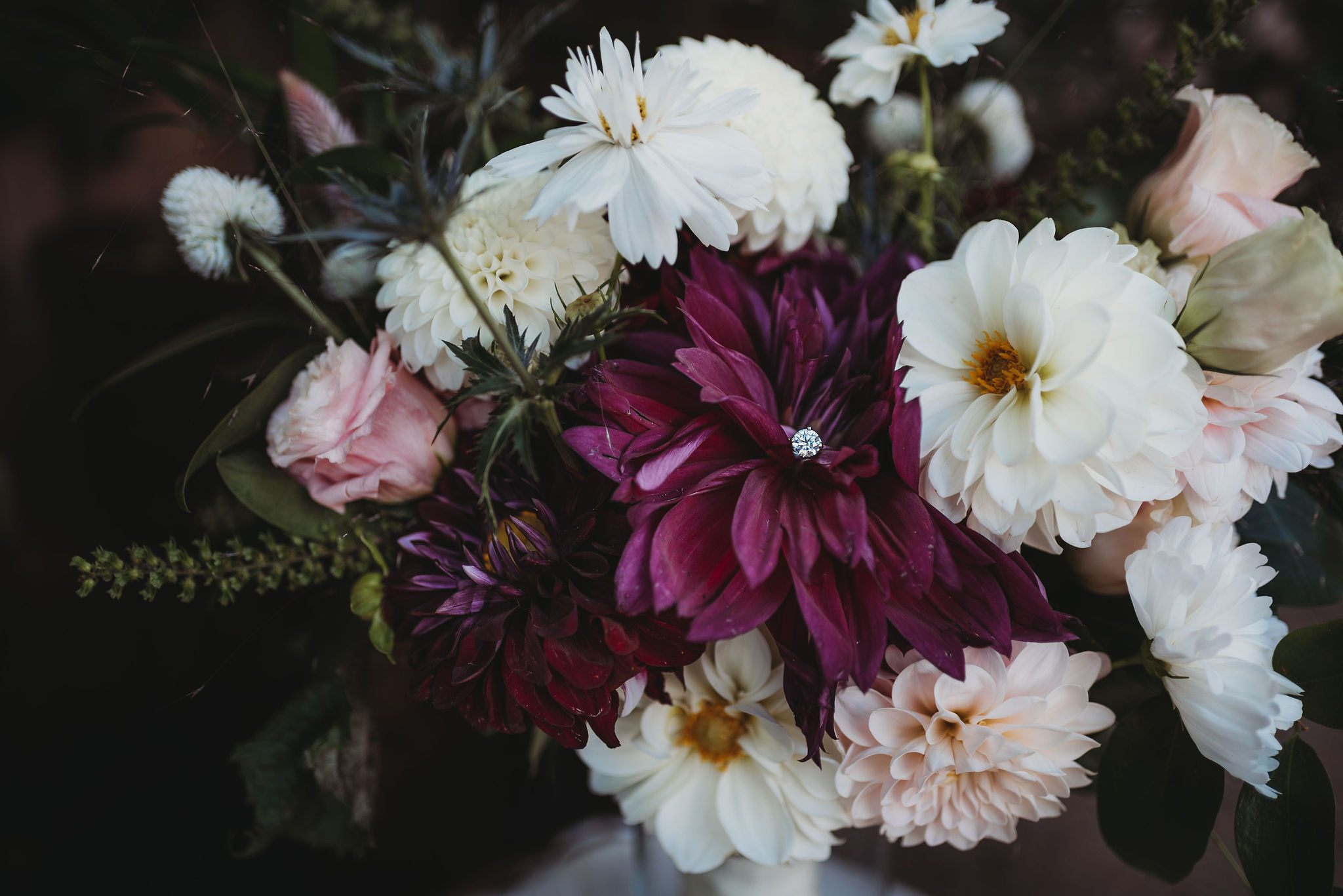 Close up on a bouquet of fall flowers, including whites, purples, and reds.