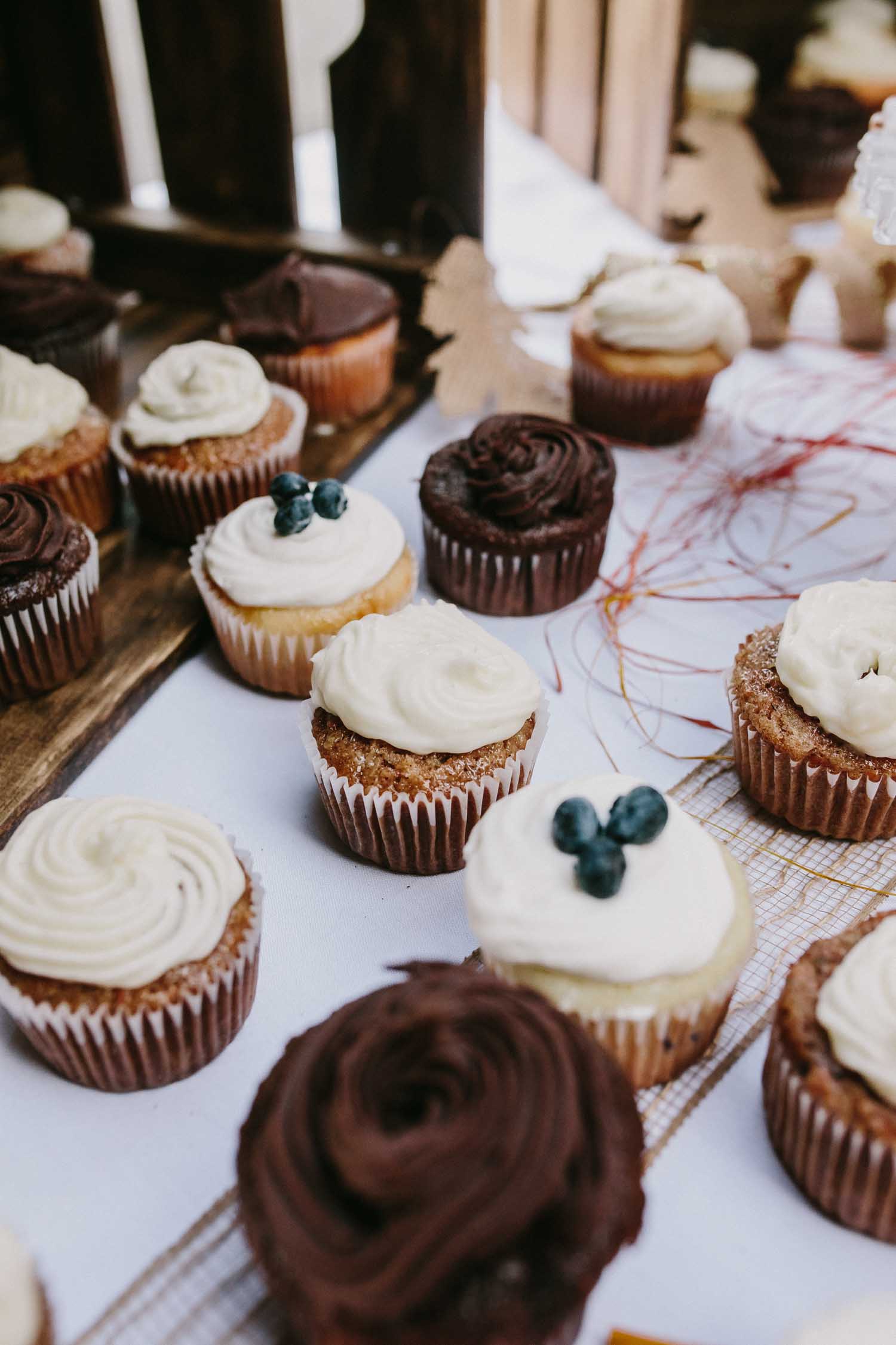Close up on a display of cupcakes. Some have chocolate frosting, some have vanilla frosting, and some of the vanilla have blueberries on top.